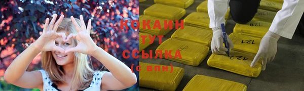 мдпв Верхний Тагил
