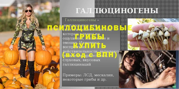 эйфоретик Верея