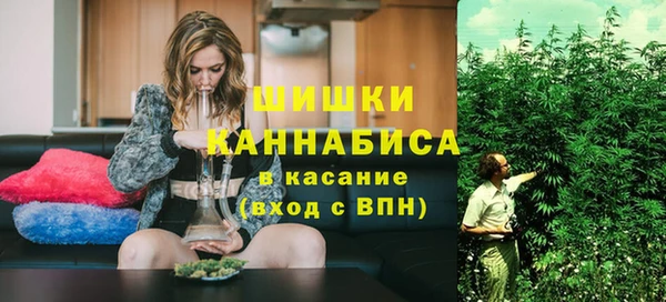 мдпв Верхний Тагил