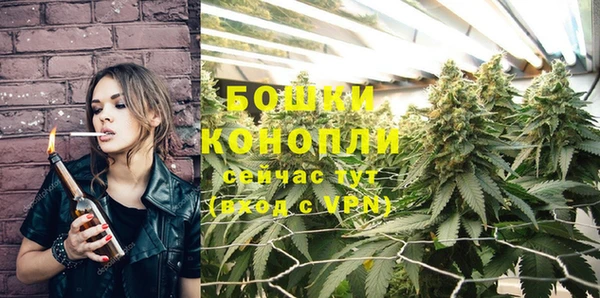 мдпв Верхний Тагил